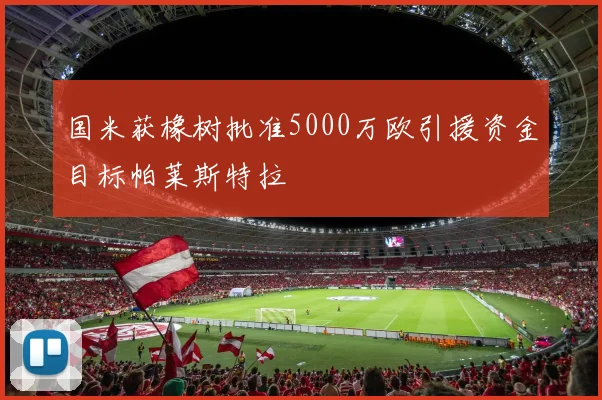 国米获橡树批准5000万欧引援资金目标帕莱斯特拉