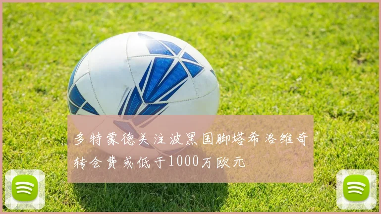 多特蒙德关注波黑国脚塔希洛维奇转会费或低于1000万欧元